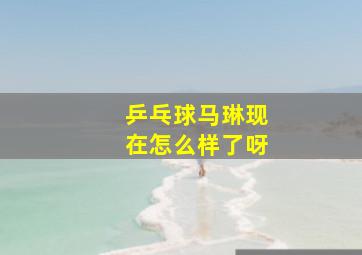 乒乓球马琳现在怎么样了呀