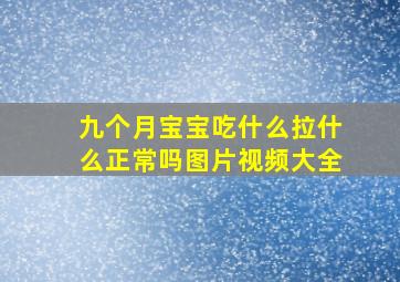 九个月宝宝吃什么拉什么正常吗图片视频大全