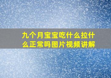 九个月宝宝吃什么拉什么正常吗图片视频讲解