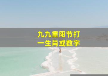 九九重阳节打一生肖或数字