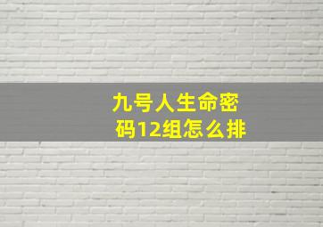 九号人生命密码12组怎么排