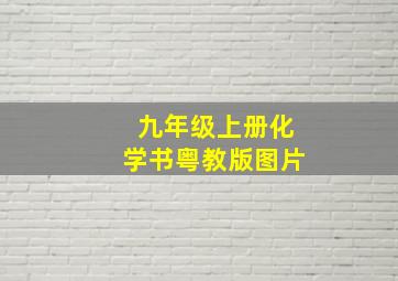 九年级上册化学书粤教版图片