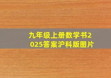 九年级上册数学书2025答案沪科版图片