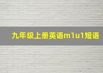 九年级上册英语m1u1短语