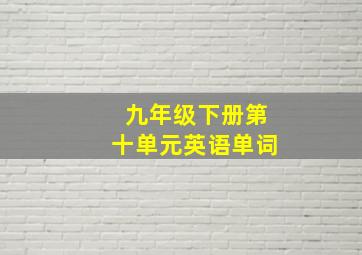 九年级下册第十单元英语单词