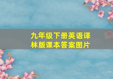 九年级下册英语译林版课本答案图片