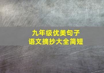 九年级优美句子语文摘抄大全简短