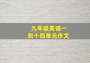 九年级英语一到十四单元作文