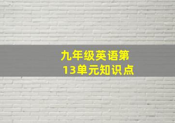 九年级英语第13单元知识点