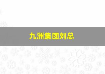 九洲集团刘总