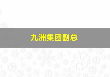 九洲集团副总