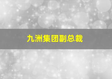 九洲集团副总裁