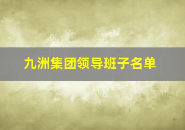 九洲集团领导班子名单