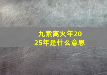 九紫离火年2025年是什么意思