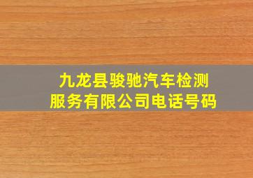 九龙县骏驰汽车检测服务有限公司电话号码