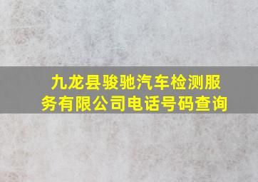 九龙县骏驰汽车检测服务有限公司电话号码查询