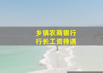 乡镇农商银行行长工资待遇