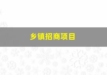 乡镇招商项目