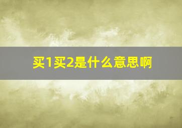 买1买2是什么意思啊