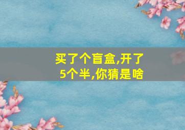 买了个盲盒,开了5个半,你猜是啥