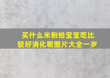 买什么米粉给宝宝吃比较好消化呢图片大全一岁