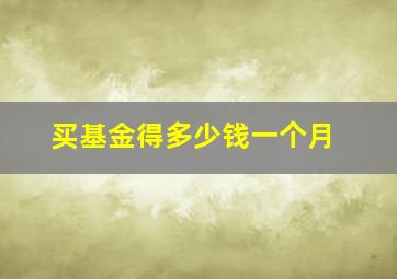 买基金得多少钱一个月