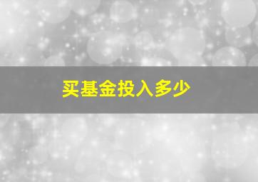 买基金投入多少