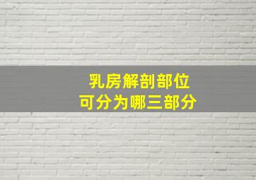 乳房解剖部位可分为哪三部分