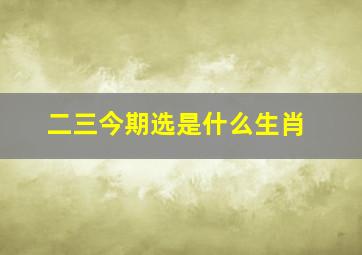 二三今期选是什么生肖