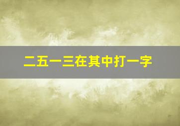 二五一三在其中打一字