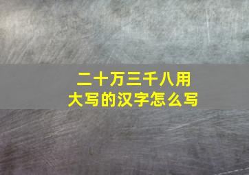 二十万三千八用大写的汉字怎么写