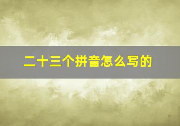 二十三个拼音怎么写的