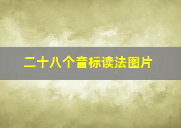 二十八个音标读法图片