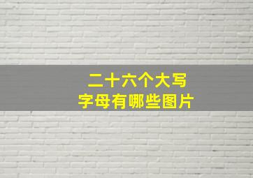 二十六个大写字母有哪些图片