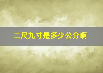 二尺九寸是多少公分啊