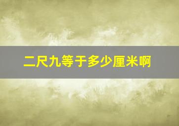 二尺九等于多少厘米啊