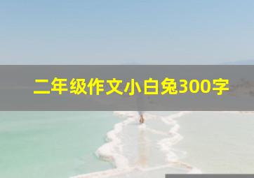 二年级作文小白兔300字