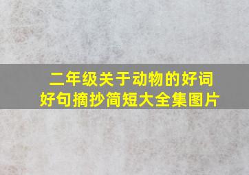 二年级关于动物的好词好句摘抄简短大全集图片