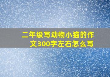 二年级写动物小猫的作文300字左右怎么写