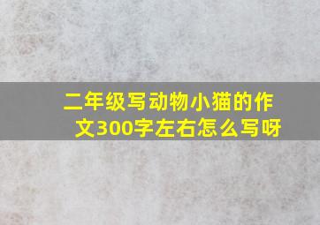 二年级写动物小猫的作文300字左右怎么写呀