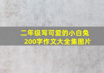 二年级写可爱的小白兔200字作文大全集图片