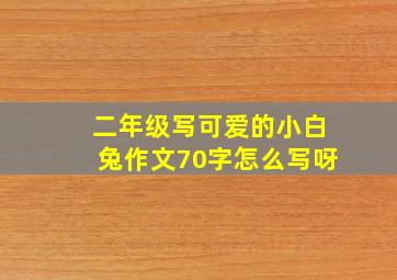 二年级写可爱的小白兔作文70字怎么写呀