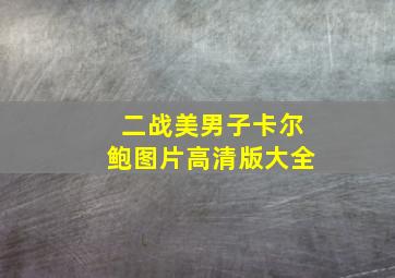 二战美男子卡尔鲍图片高清版大全