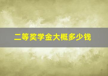 二等奖学金大概多少钱