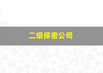 二级保密公司