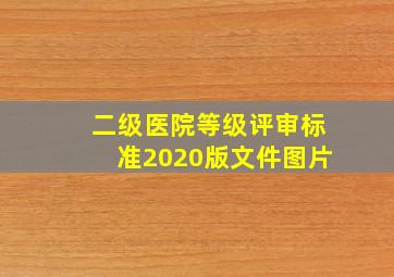 二级医院等级评审标准2020版文件图片