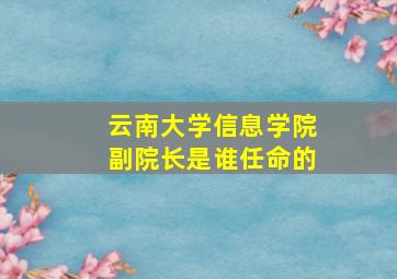 云南大学信息学院副院长是谁任命的