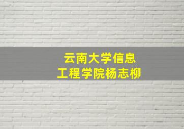 云南大学信息工程学院杨志柳