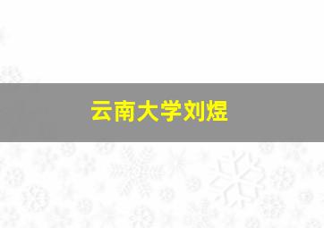 云南大学刘煜