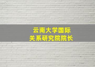 云南大学国际关系研究院院长